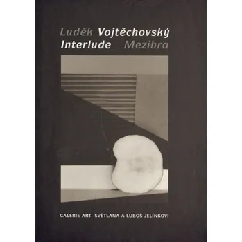 Umění Mezihra - Luděk Vojtěchovský