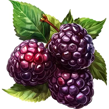 Samolepící dekorace UV samolepka ostružina 7x7 cm (UV samolepka se zeleninou a ovocem)