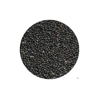 Semeno řepka váha: 100g