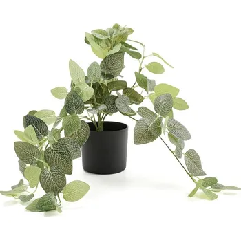 umělá květina Umělá rostlina EVERGREEN, fitónie, závěsná, délka 600 mm, 1 ks