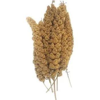 Krmivo pro ptáka Juko Juko Senegalské proso žluté klasy 200g