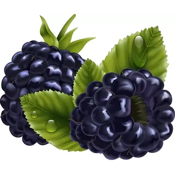 Samolepící dekorace UV samolepka černá ostružina 7x6 cm (UV samolepka se zeleninou a ovocem)