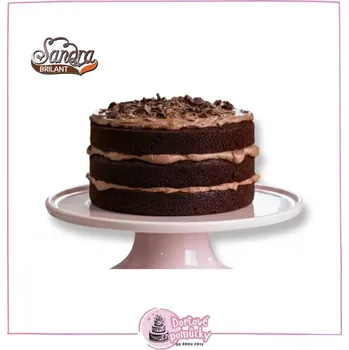 Luxusní směs na čokoládový dortový korpus - Sandra Brilant 5 kg