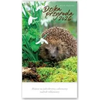 Kalendář Kalendarz 2026 reklamowy Dzika przyroda