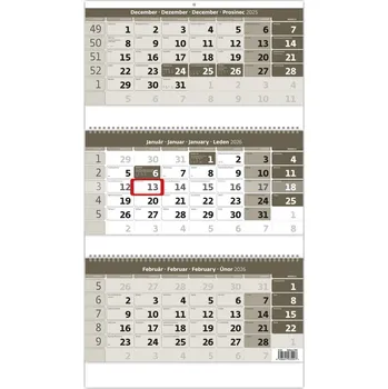 Kalendář Nástěnný kalendář 2026 - tříměsíční šedý se spirálou a jmenným kalendářem