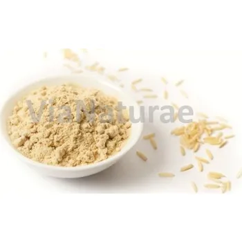 Protein Rýžový protein BIO 1 kg VIA NATURAE