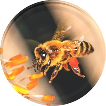 Víčko na zavařovací sklenici Víčko na med LETÍCÍ VČELA TO 82 RTS (paster do 105°C) Počet kusů v balení: 740