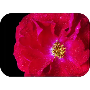 Koupelnová předložka KOUPELNOVÁ PŘEDLOŽKA PROTISKLUZOVÁ RYCHLESCHNOUCÍ STYL 40x60 OBDÉLNÍKOVÁ PODLOŽKA