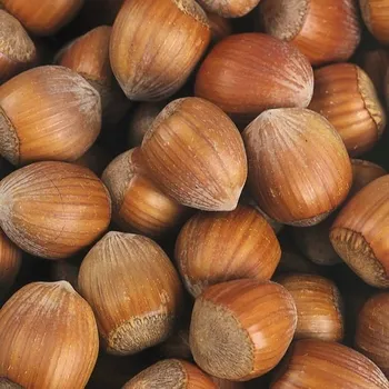 Lískový ořech (Lískový oříšek) 2l