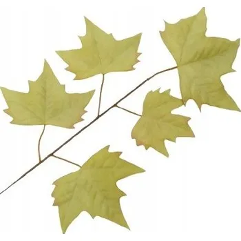 umělá květina LIST PIK doplněk do kytice aranžmá SVĚTLE ZELENÝ kompozice větvička javoru