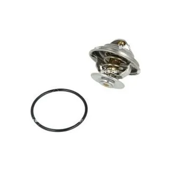 Těsnění motoru Termostat, chladivo NRF 725184