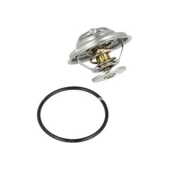 Těsnění motoru Termostat, chladivo NRF 725114