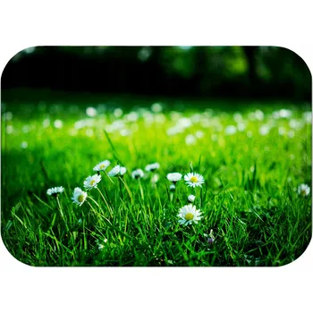 Koupelnová předložka KOUPELNOVÁ PŘEDLOŽKA | PROTISKLUZOVÁ RYCHLESCHNOUCÍ MODERNÍ 40x60 VODĚODOLNÁ;