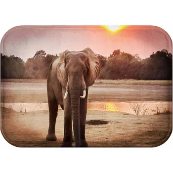 Koupelnová předložka KOUPELNOVÁ PŘEDLOŽKA | PROTISKLUZOVÁ RYCHLESCHNOUCÍ 40x60 VODĚODOLNÁ MĚKKÁ