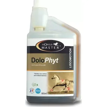 Horse Master DoloPhyt 900 ml