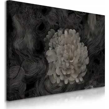 Obraz OBRAZ NA PLÁTNĚ DO LOŽNICE BÍLÁ JIŘINA KVĚTINY ABSTRAKCE DO OBÝVACÍHO POKOJE 70x50