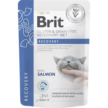 Krmivo pro kočku Brit Veterinary Cat Pouch Recovery 12x85g