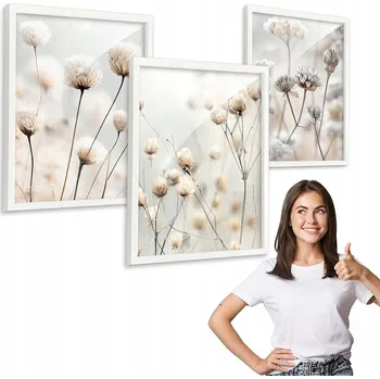 Obraz Sada 3 obrazů vzor SÁDROVKA a bílá louka rámeček 30x40 na plexiskle, triptych