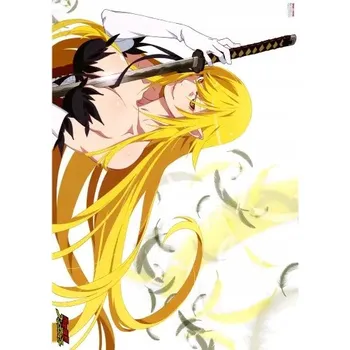 Obraz Plakát anime 29,7 x 42 cm