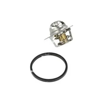 Těsnění motoru Termostat, chladivo NRF 725183