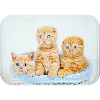 Koupelnová předložka KOUPELNOVÁ PŘEDLOŽKA | 40x60 PROTISKLUZOVÁ RYCHLESCHNOUCÍ VODĚODOLNÁ MODERNÍ;