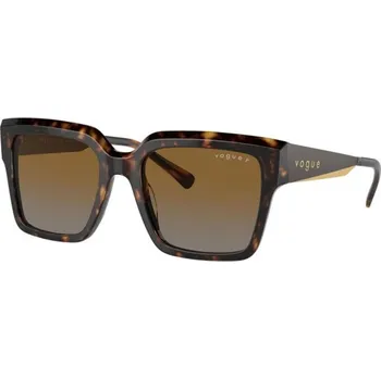 Oblečení a móda VOGUE VO5553S W656T5 POLARIZED