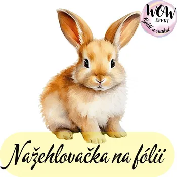 Nažehlovačky na fólii Nažehlovačka na fólii, KRÁLÍK béžový , 1 kus Zvolte VELIKOST motivu ZDE:: Menší