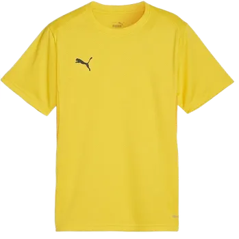 Pánské oblečení Triko Puma teamGOAL T-Shirt 658636-07 Velikost XL