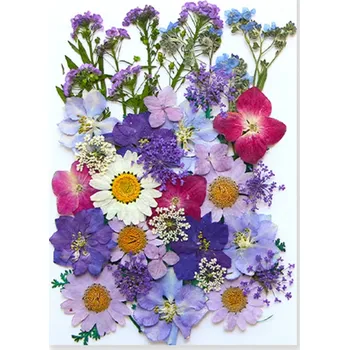 Obraz Lisované fialové růžové bílé květiny v pryskyřici Obdélníkový dekor Přírodní květinová dekorace Ruční výroba Dárkový předmět