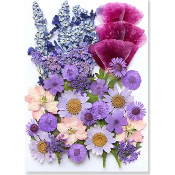 Obraz Lisované fialové květiny v pryskyřici Obdélníkový tvar Dekorativní prvek na výrobu šperků Umělecké DIY tvoření Ruční práce