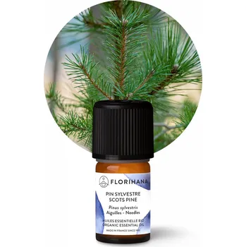 Éterický olej Borovice lesní (scots) BIO 5g (5,85ml)