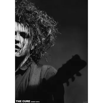 Plakát Plakát, Obraz - The Cure - Robert Smith Live