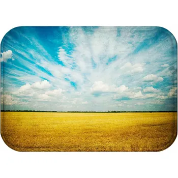 Koupelnová předložka KOUPELNOVÁ PŘEDLOŽKA | PROTISKLUZOVÁ RYCHLESCHNOUCÍ VODĚODOLNÁ 40x60 MĚKKÁ