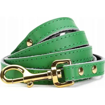 Vodítko pro psa KOŽENÁ VODÍTKO PRO MALÉ STŘEDNÍ PSY 1,2 M, ZELENÁ