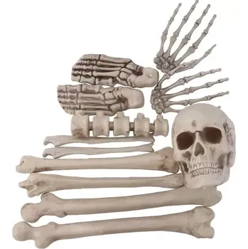 Party dekorace Halloween dekorace kosti 12 ks