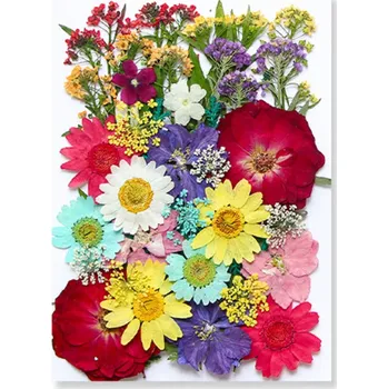 Obraz Lisované květiny v pryskyřici Obdélníková dekorace Ruční výroba Domácí dekorace Přírodní květinové doplňky Originální dárek