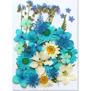 Obraz Lisované modré a bílé květiny v pryskyřici Obdélníková dekorace Ručně vyráběná přírodní ozdoba Originální bytový doplněk