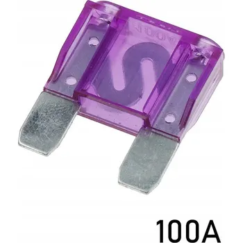 Autopojistky Automobilová pojistka MAXI 100A
