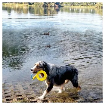 Hračka pro psa Nobby hračka pes Kruh s rukojetí TPR guma 31,5 cm