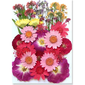 Obraz Lisované růžové a fialové květiny v pryskyřici Obdélníkový tvar Dekorace do interiéru Originální dárek Ruční výroba Přírodní styl