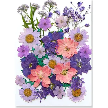 Obraz Lisované růžové a fialové květiny v pryskyřici Obdélníkový tvar Dekorativní pryskyřicový blok Ruční výroba Domácí dekorace