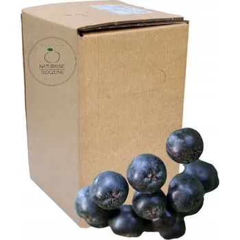 Šťáva z aronie 100% 5l (v KARTONU) - aroniová, aronie