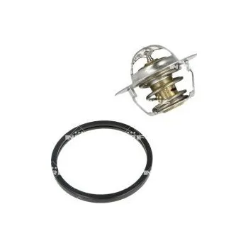 Těsnění motoru Termostat, chladivo NRF 725129