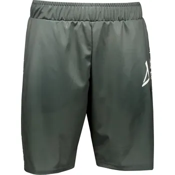 Pánské funkční kraťasy premium ALTISPORT VOJ/ALM021KRA01 ŠEDÁ XXXL
