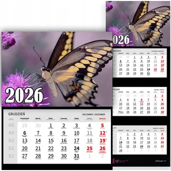 Kalendář Nástěnný kalendář - plánovač třídílný ROK 2026 | MOTÝL DÁREK Různé vzory