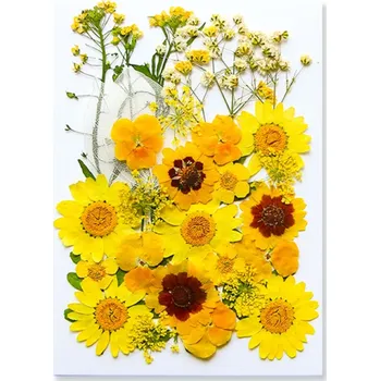 Obraz Lisované žluté květiny v pryskyřici Obdélníkový tvar Přírodní dekorace do interiéru Ruční výroba Dárek Umělecký doplněk