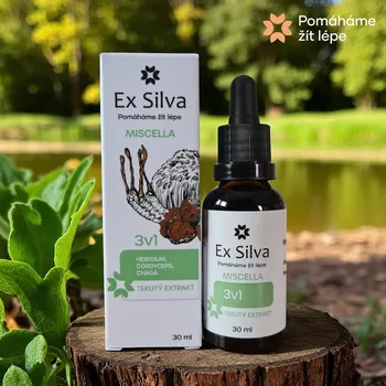 3v1 Miscella Ex Silva - vyvážená trojice vitálních hub (30 ml)
