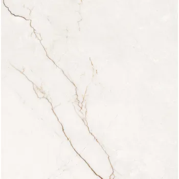 Dlažba DLAŽBA EGEN PRIME ROSALIO BIANCO POLISHED 60X60