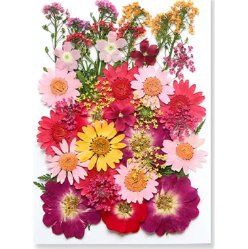 Obraz Lisované růžové červené žluté květiny v pryskyřici Obdélníkový tvar Dekorativní pryskyřicová dekorace Ruční výroba Dárkový předmět