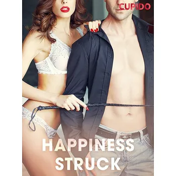 Kniha Happiness Struck Ekniha
